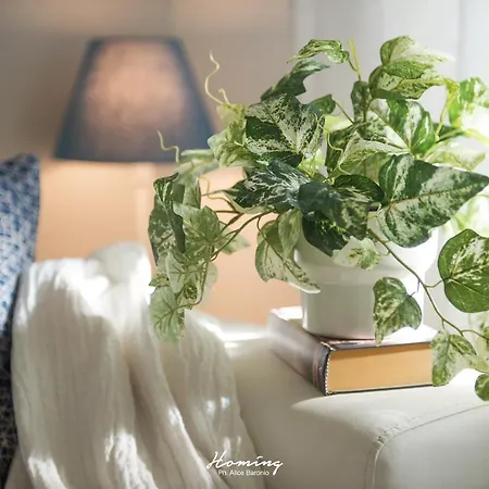 Oki Doki アパート *