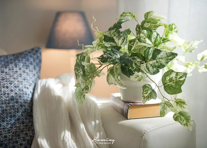 Oki Doki Apartment *