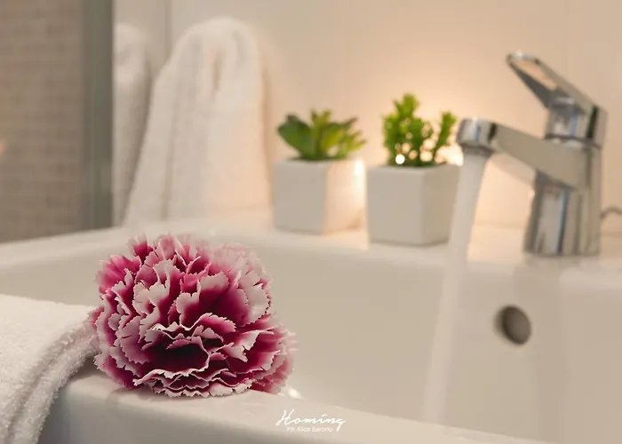 Oki Doki Apartment *